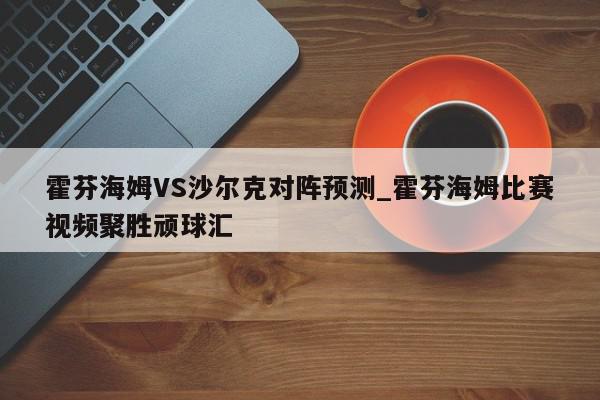 霍芬海姆VS沙尔克对阵预测