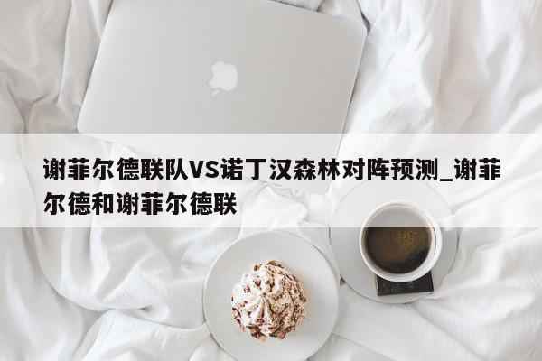 谢菲尔德联队VS诺丁汉森林对阵预测