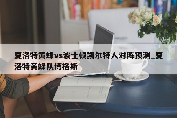 夏洛特黄蜂vs波士顿凯尔特人对阵预测