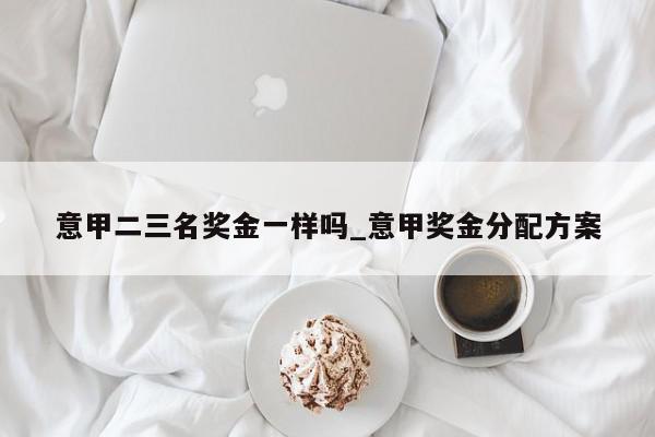 意甲二三名奖金一样吗_意甲奖金分配方案